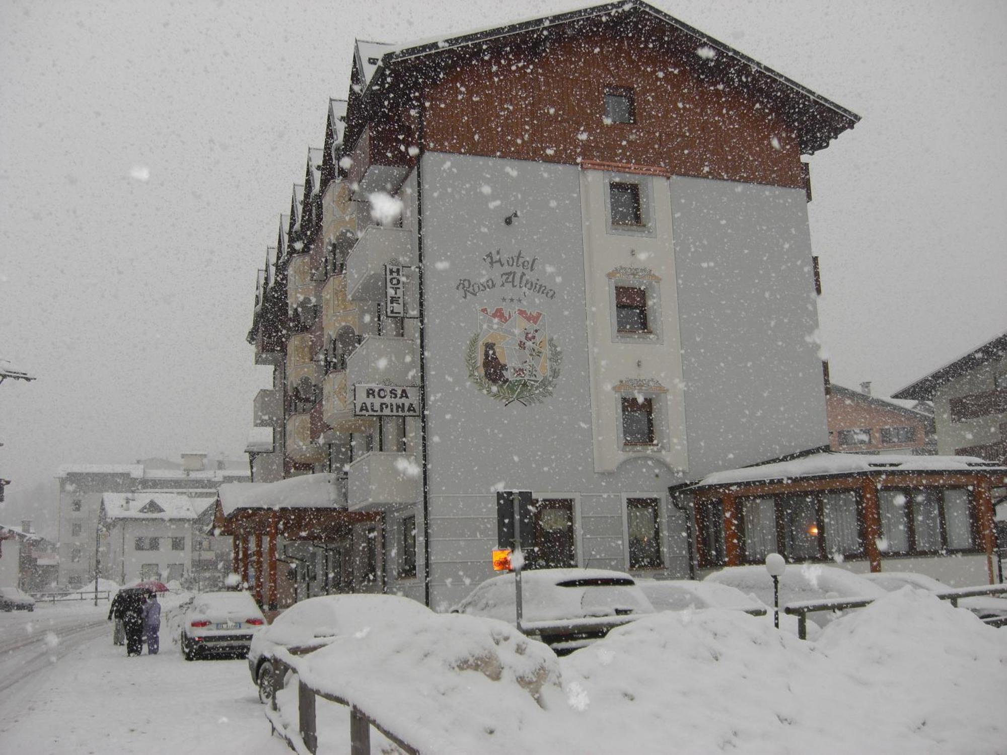Hotel Rosa Alpina Andalo Exteriör bild